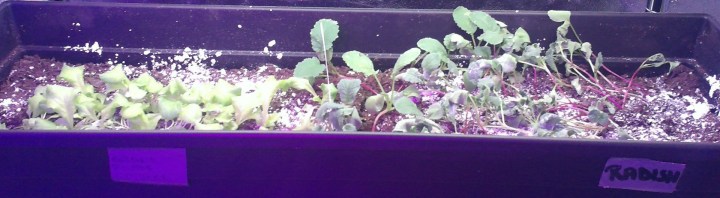 WIN_20170331_17_04_39_Pro