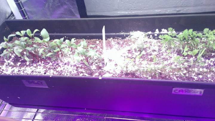 WIN_20170331_17_05_00_Pro