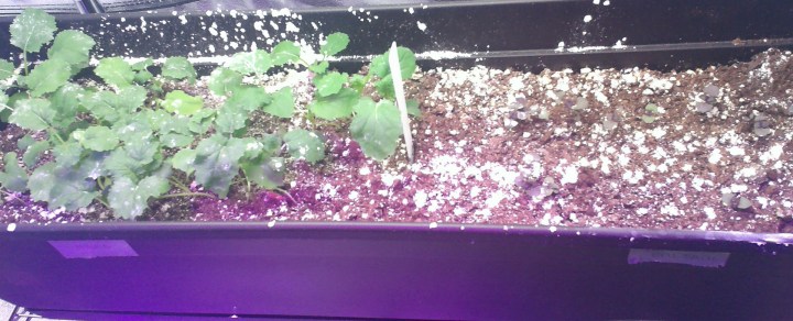 WIN_20170331_17_05_16_Pro