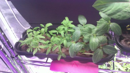 WIN_20170410_19_30_25_Pro