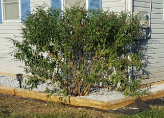 21992746_10155722301424913_9193700136004578690_o