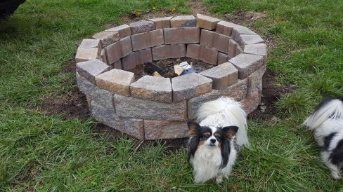 17636951_10155148500474913_3633674678781450234_o