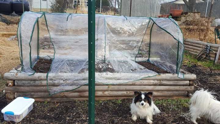 26992276_10156042755194913_7659233778674981558_n